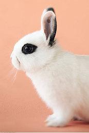 原NS游戏《英雄不再3》将于今年秋季登陆其他平台